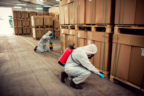 Best Pest Control for Homes  in Kinder, LA