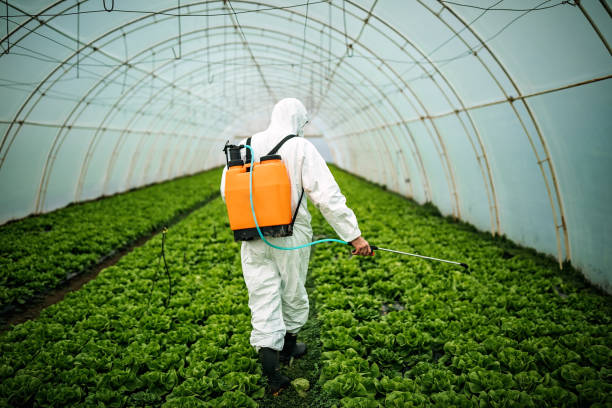 Best Pest Inspection Near Me  in Kinder, LA