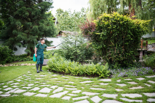 Best Pest Prevention Services  in Kinder, LA