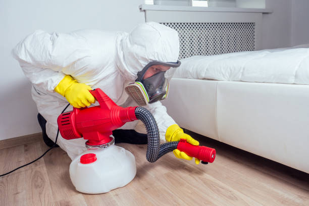 Best Exterminator Services  in Kinder, LA