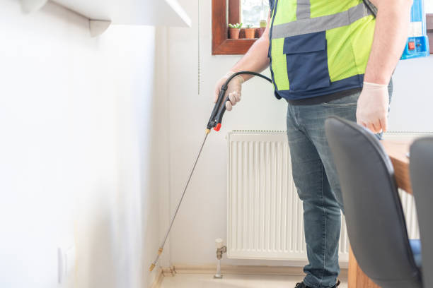 Best Flea Control Services  in Kinder, LA