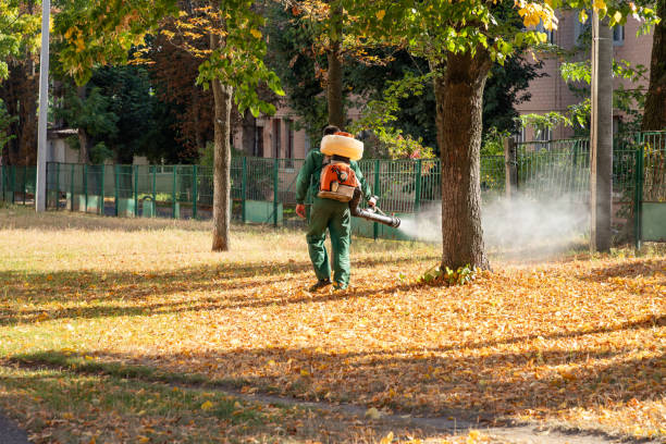 Best Bird Control  in Kinder, LA