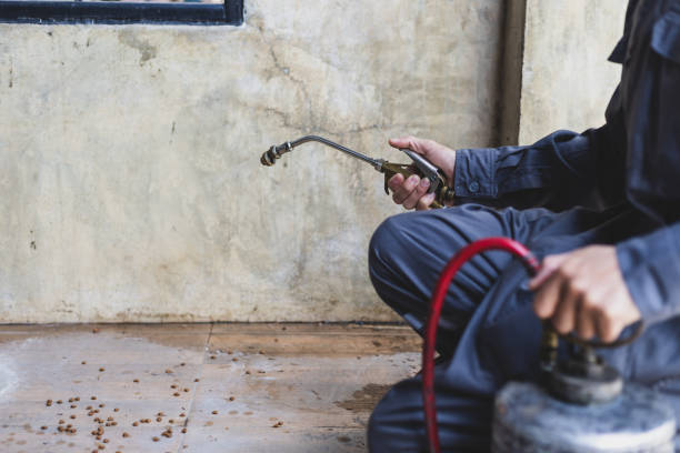 Best Pest Control Treatment  in Kinder, LA